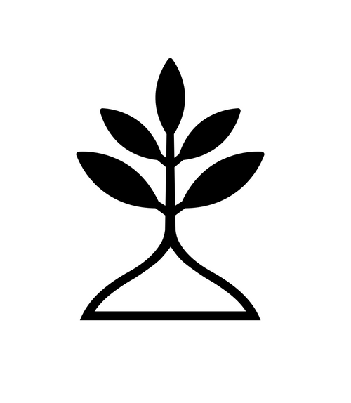 Trulli Extra Virgin Olive Oil